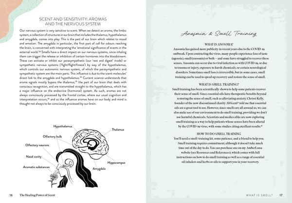 Produktbild: The Healing Power of Scent