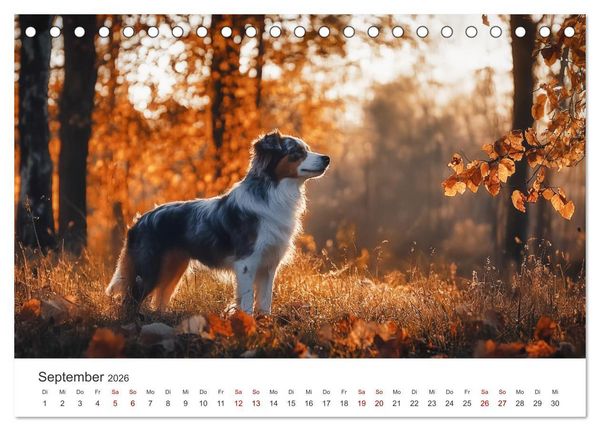 Produktbild: Wundert&uuml;te auf vier Pfoten - Mischlingshunde mit Charme (Tischkalender 2026 DIN A5 quer), CALVENDO Monatskalender
