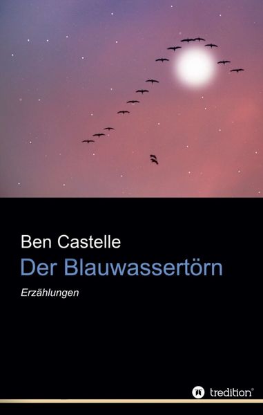 Der Blauwassertörn, Taschenbuch von Ben Castelle, Tredition, 9783743925380
