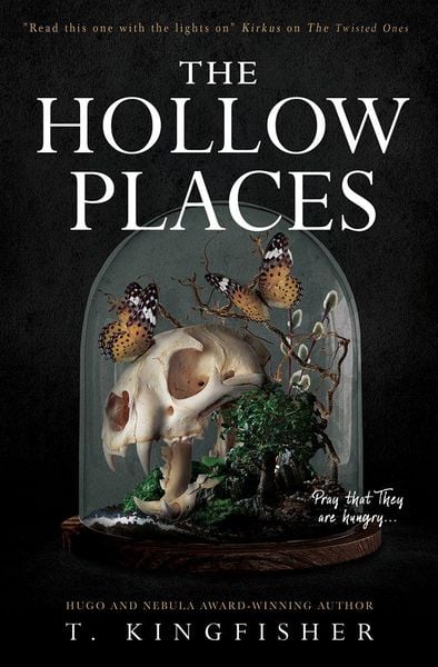 Produktbild: The Hollow Places