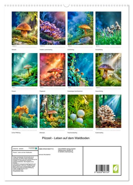 Produktbild: Pilzzeit - Leben auf dem Waldboden (hochwertiger Premium Wandkalender 2027 DIN A2 hoch), Kunstdruck in Hochglanz