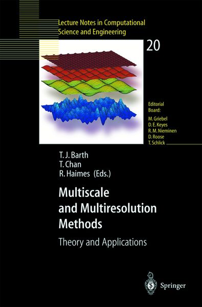 Produktbild: Multiscale and Multiresolution Methods