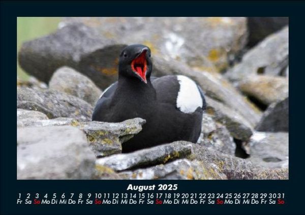 Produktbild: Welt der V&ouml;gel 2025 Fotokalender DIN A5
