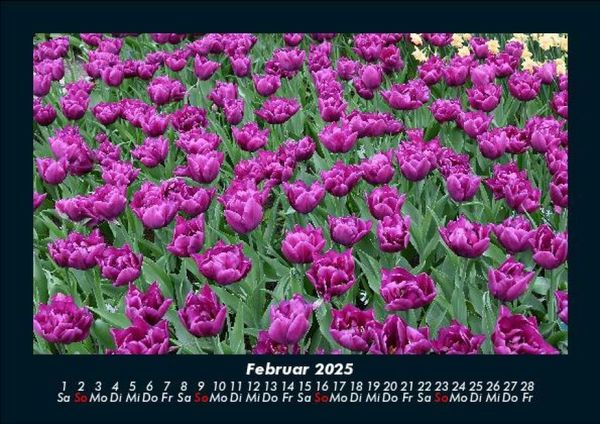 Produktbild: Blumentr&auml;ume 2025 Fotokalender DIN A5