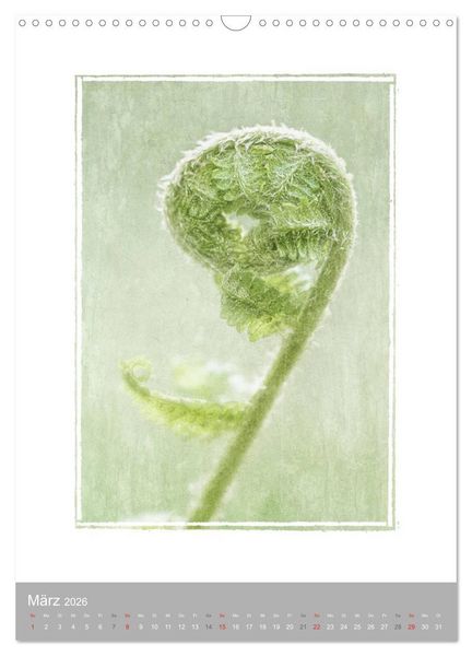 Produktbild: Kunstwerk Natur (Wandkalender 2026 DIN A3 hoch), CALVENDO Monatskalender