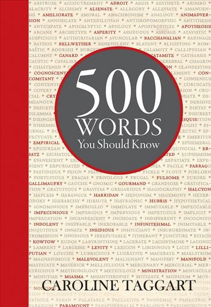 Produktbild: 500 Words You Should Know