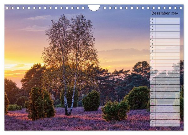 Produktbild: Heidespaziergang (Wandkalender 2026 DIN A4 quer), CALVENDO Monatskalender