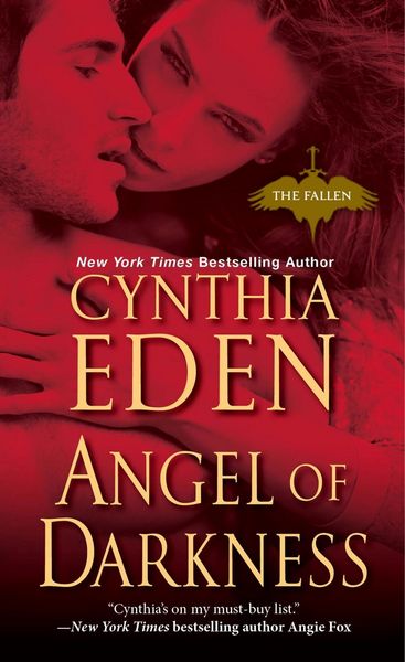 Produktbild: Angel of Darkness