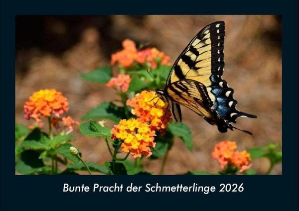 Produktbild: Bunte Pracht der Schmetterlinge 2026 Fotokalender DIN A4
