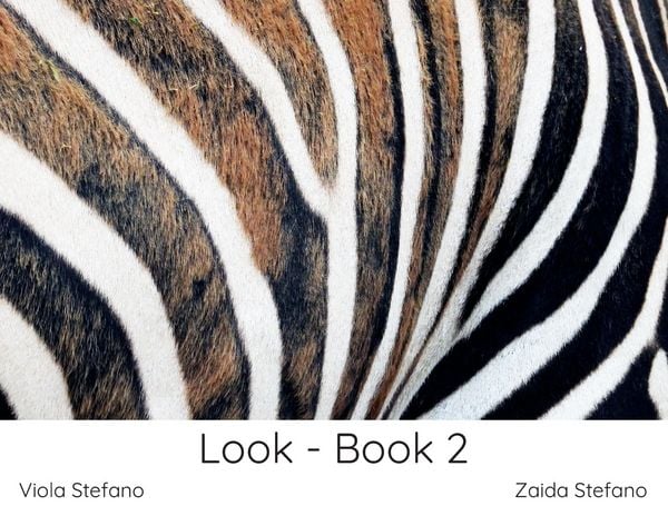 Produktbild: Look - Book 2