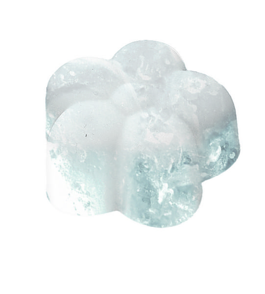 Produktbild: Blatt & Bl&uuml;te Eisw&uuml;rfelform
