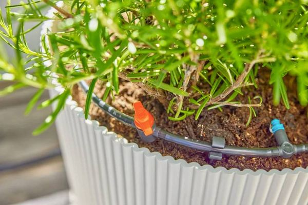 Produktbild: GARDENA Micro-Drip System 13400-20 Bew&auml;sserungs-Komplettset 13mm (1/2\") &Oslash;