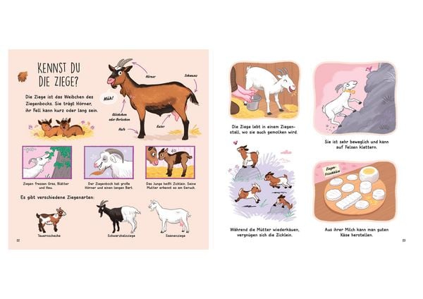 Produktbild: Kennst du die Tierkinder? - Sachbilderbuch f&uuml;r Kinder ab 3 Jahren