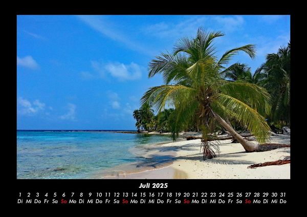 Produktbild: Palmentraum 2025 Fotokalender DIN A3