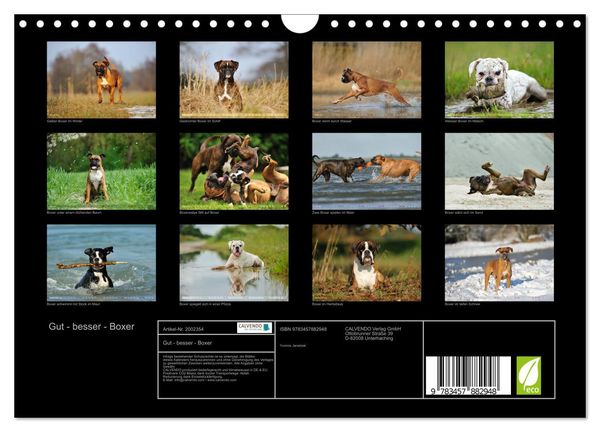 Produktbild: Gut - besser - Boxer (Wandkalender 2026 DIN A4 quer), CALVENDO Monatskalender