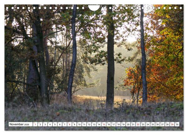 Produktbild: Lingen Ems (Wandkalender 2026 DIN A4 quer), CALVENDO Monatskalender