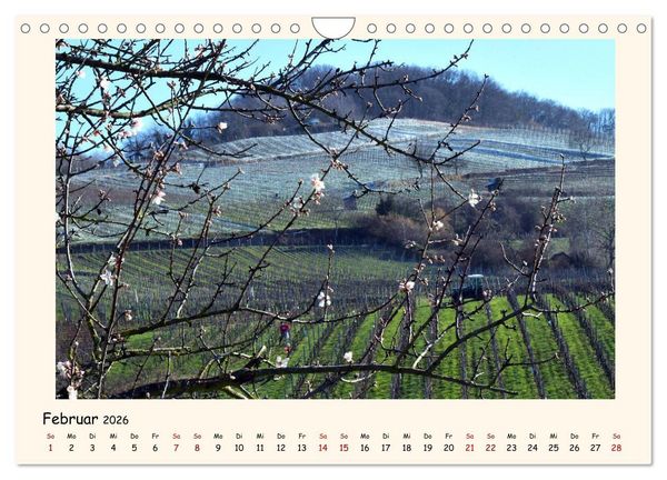Produktbild: Weinlandschaft - Heppenheim an der Bergstra&szlig;e (Wandkalender 2026 DIN A4 quer), CALVENDO Monatskalender