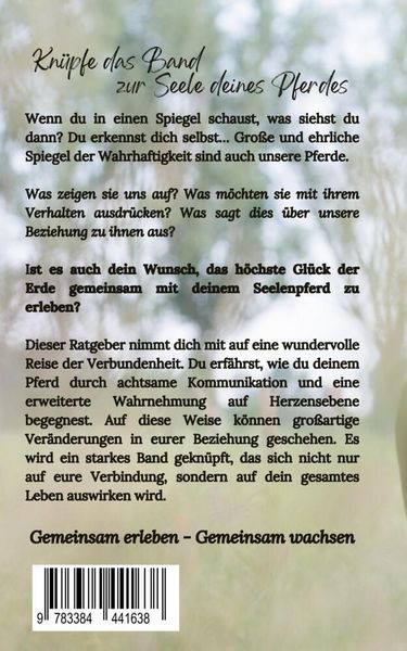 Produktbild: Tsaheyla - Im Einklang mit deinem Seelenpferd