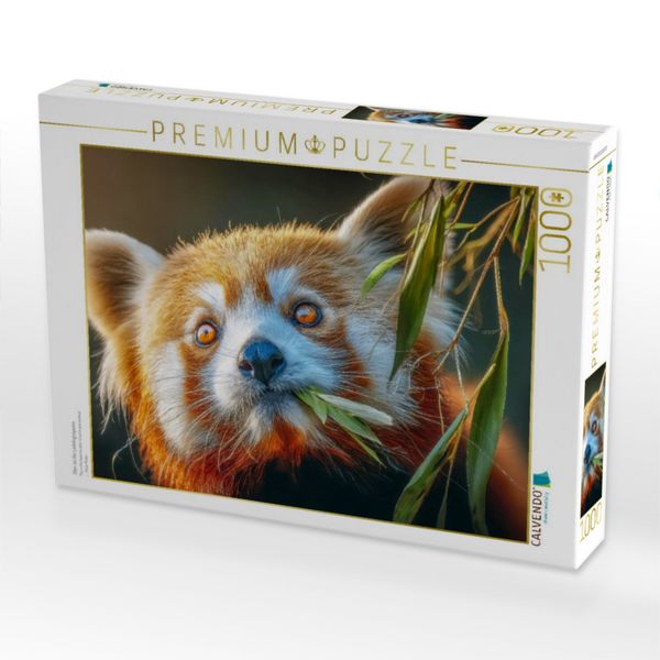 Produktbild: CALVENDO Puzzle Dies ist die Lieblingsspeise | 1000 Teile Lege-Gr&ouml;&szlig;e 64x48cm Foto-Puzzle f&uuml;r gl&uuml;ckliche Stunden