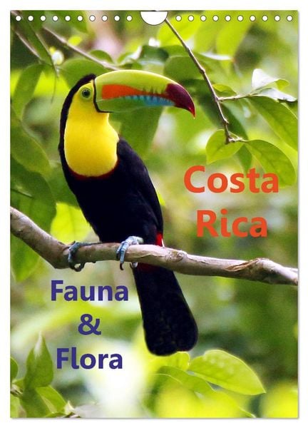Costa Rica - Fauna & Flora (Wandkalender 2026 DIN A4 hoch), CALVENDO Monatskalender