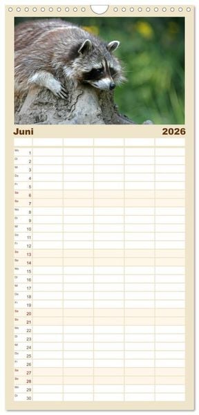 Produktbild: Familienplaner 2026 - Waschb&auml;ren mit 5 Spalten (Wandkalender, 21 x 45 cm) CALVENDO