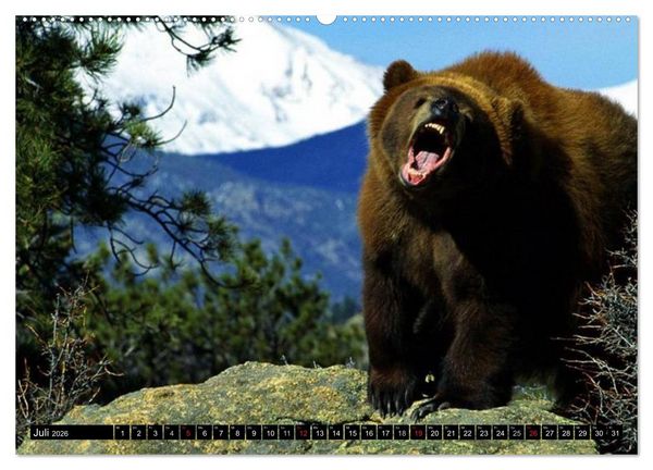 Produktbild: Kanada - Das Paradies f&uuml;r Entdecker (hochwertiger Premium Wandkalender 2026 DIN A2 quer), Kunstdruck in Hochglanz