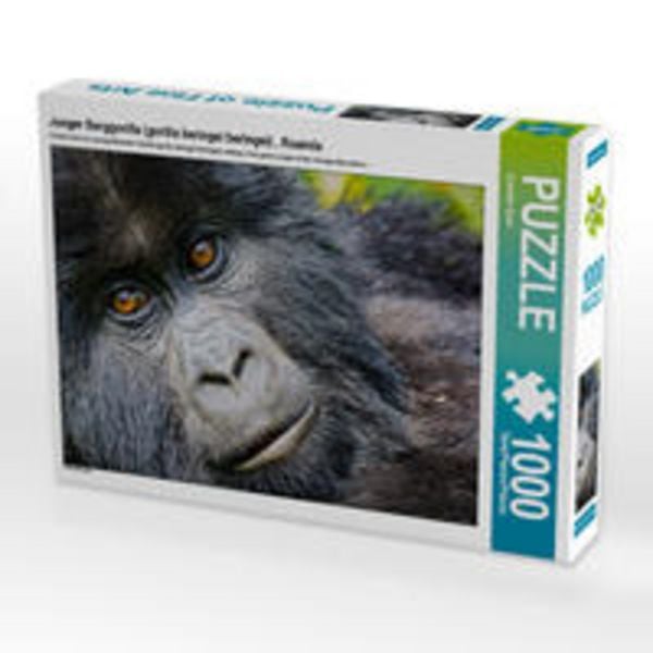 CALVENDO Puzzle Junger Berggorilla (gorilla beringei beringei) , Ruanda | 1000 Teile Lege-Größe 64x48cm Foto-Puzzle für glückliche Stunden