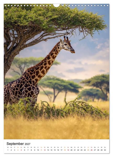 Produktbild: Giraffen - die Welt von oben betrachtet (Wandkalender 2027 DIN A3 hoch), CALVENDO Monatskalender
