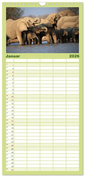 Produktbild: Familienplaner 2026 - Afrika - im Reich der Elefanten mit 5 Spalten (Wandkalender, 21 x 45 cm) CALVENDO