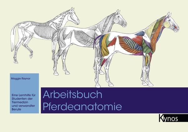 Arbeitsbuch Pferdeanatomie, Gebundene Ausgabe von Maggie Raynor, Kynos Verlag, 978-3-95464-305-9