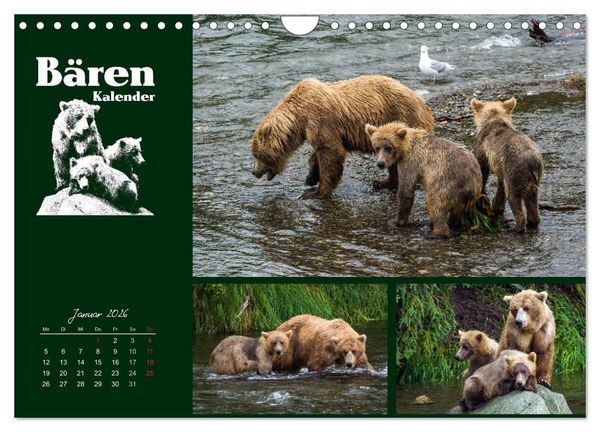 Produktbild: B&auml;renkalender (Wandkalender 2026 DIN A4 quer), CALVENDO Monatskalender