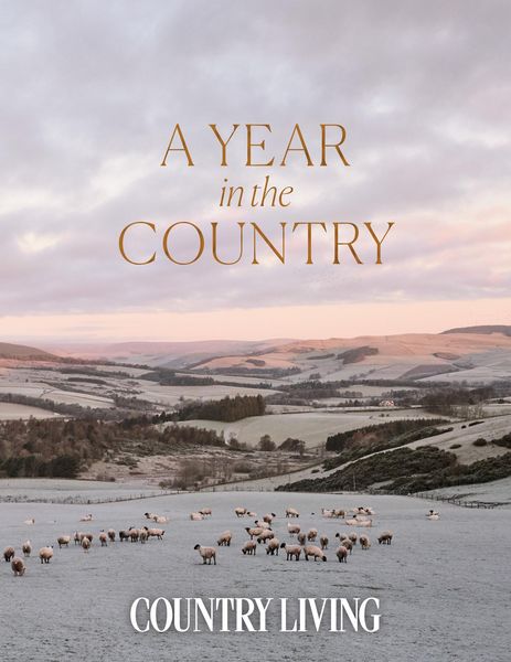 Produktbild: A Year in the Country