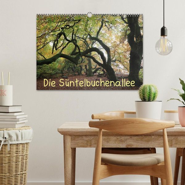 Produktbild: Die S&uuml;ntelbuchenallee (Wandkalender 2026 DIN A3 quer), CALVENDO Monatskalender