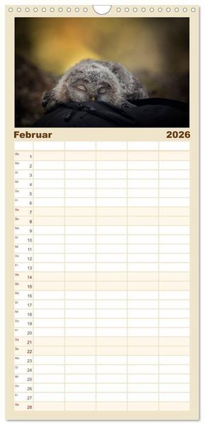 Produktbild: Familienplaner 2026 - Eulen - sch&ouml;n und geheimnisvoll mit 5 Spalten (Wandkalender, 21 x 45 cm) CALVENDO