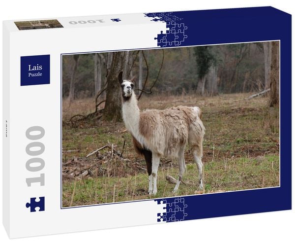 Produktbild: Lais Puzzle Lama 1000 Teile
