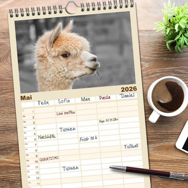 Produktbild: Familienplaner 2026 - Alpaka Gesichter mit 5 Spalten (Wandkalender, 21 x 45 cm) CALVENDO