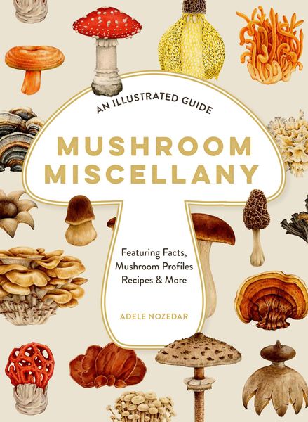 Produktbild: Xmushroom Miscellany Hb