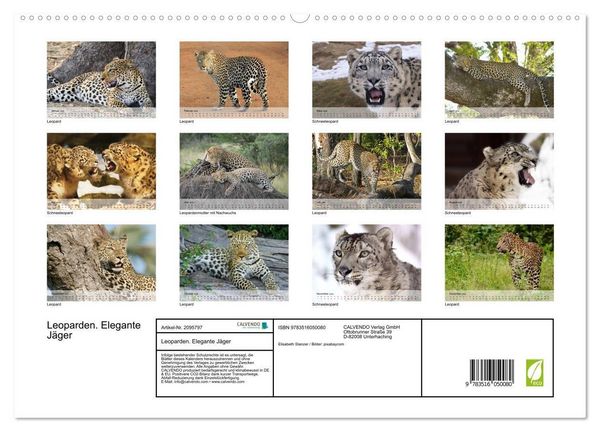 Produktbild: Leoparden. Elegante J&auml;ger (hochwertiger Premium Wandkalender 2026 DIN A2 quer), Kunstdruck in Hochglanz