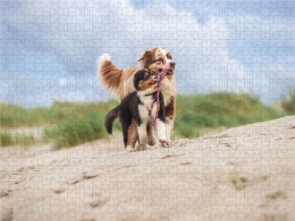 Produktbild: CALVENDO Puzzle Spa&szlig; zu Zweit | 1000 Teile Lege-Gr&ouml;&szlig;e 64x48cm Foto-Puzzle f&uuml;r gl&uuml;ckliche Stunden