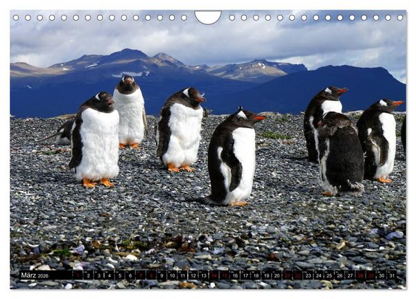 Produktbild: Argentinien - Von Iguazu bis Feuerland (Wandkalender 2026 DIN A4 quer), CALVENDO Monatskalender