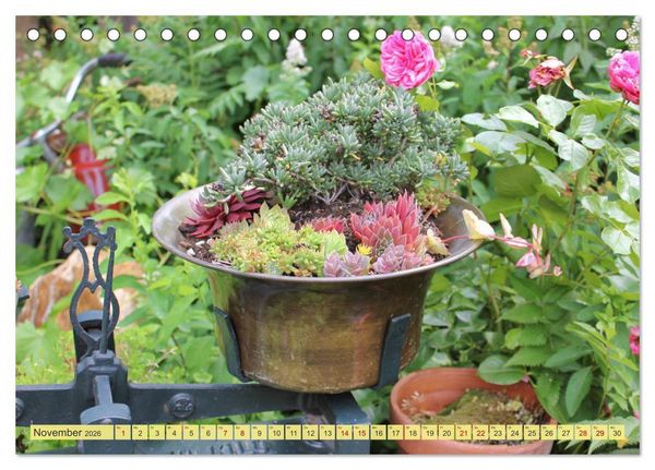 Produktbild: Gartenzauber (Tischkalender 2026 DIN A5 quer), CALVENDO Monatskalender