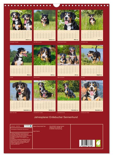 Produktbild: Jahresplaner Entlebucher Sennenhund (Wandkalender 2026 DIN A3 hoch), CALVENDO Monatskalender