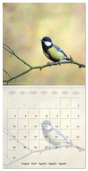 Produktbild: Le jardin des m&eacute;sanges (Calendrier mural carr&eacute; 2026 30x30 cm) Calendrier double avec une page pour vos prises de notes