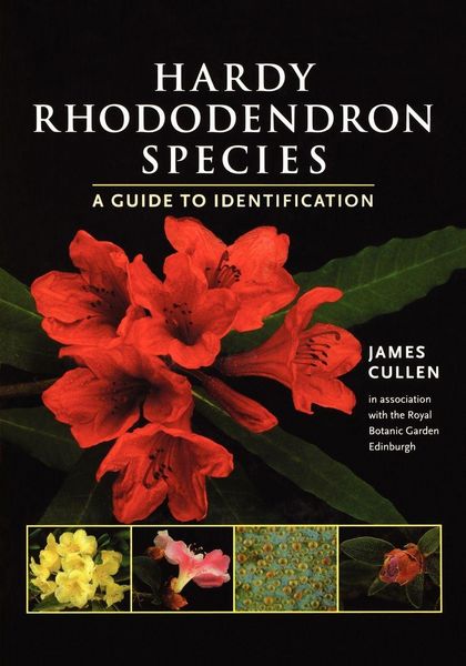 Produktbild: Hardy Rhododendron Species