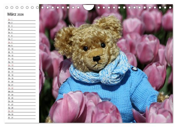 Produktbild: Teddy unterwegs (Wandkalender 2026 DIN A4 quer), CALVENDO Monatskalender