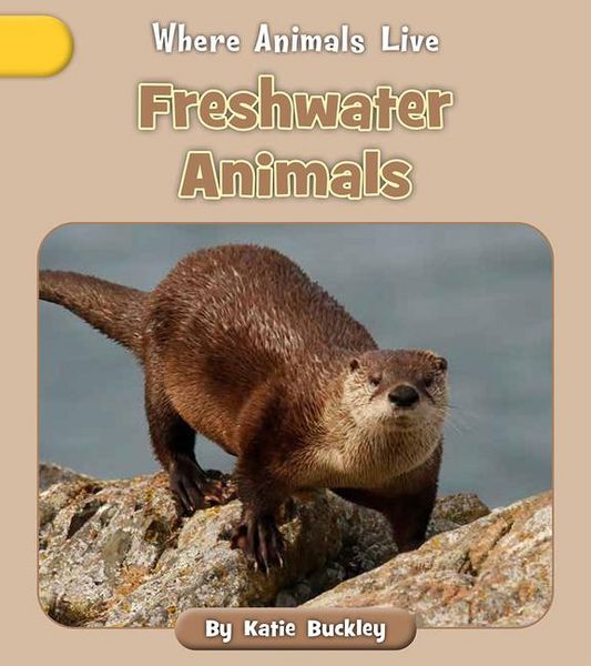 Produktbild: Freshwater Animals