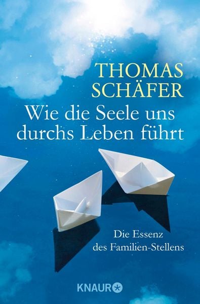 Produktbild: Wie die Seele uns durchs Leben f&uuml;hrt