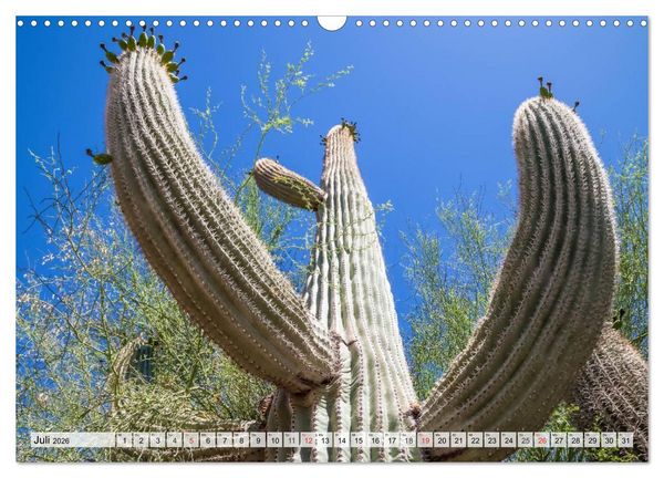 Produktbild: ARIZONA UND UTAH Ein einzigartiges Erlebnis (Wandkalender 2026 DIN A3 quer), CALVENDO Monatskalender