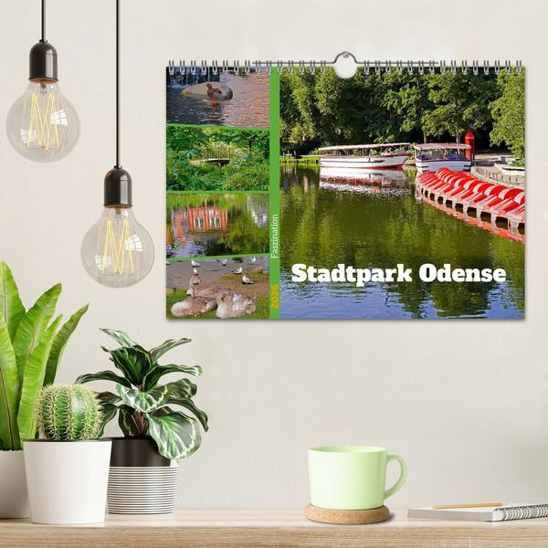 Produktbild: Faszination Stadtpark Odense (Wandkalender 2026 DIN A4 quer), CALVENDO Monatskalender