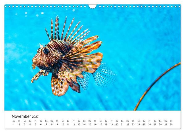 Produktbild: Traumhaftes Mauritius (Wandkalender 2027 DIN A3 quer), CALVENDO Monatskalender